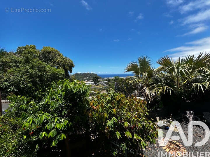 Photo 6 - Maison à SAINT-JOSEPH