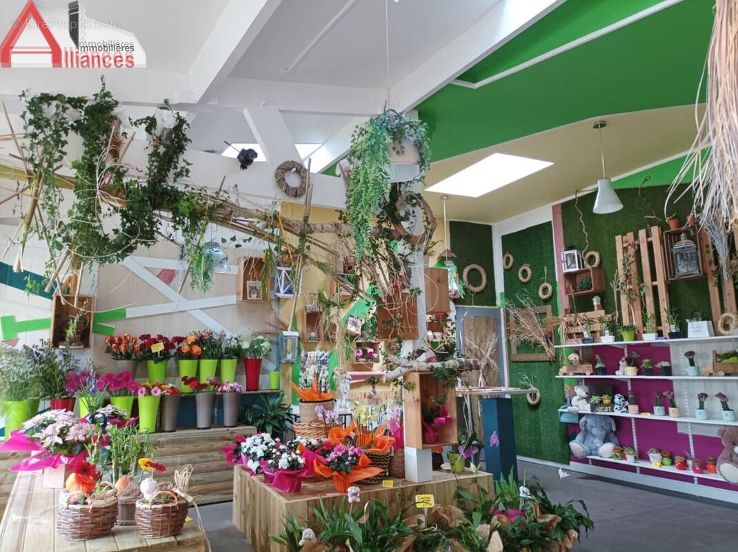 n°6 - Maison à FRIVILLE-ESCARBOTIN