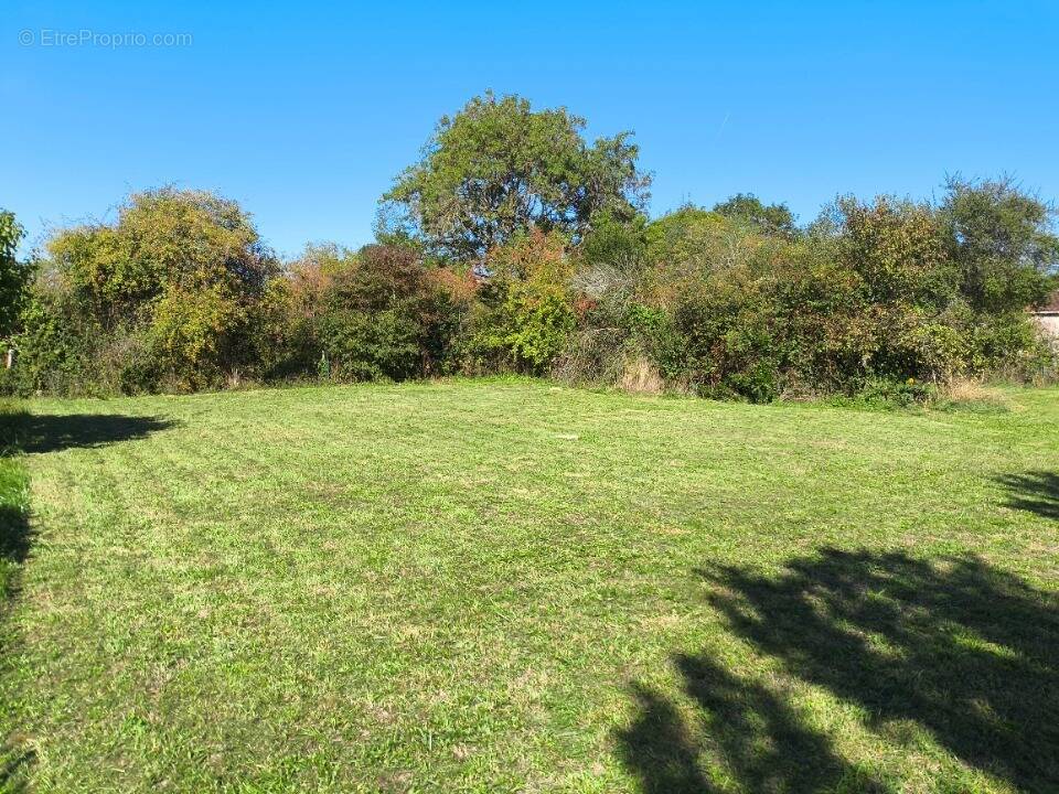 Terrain à CHASSORS