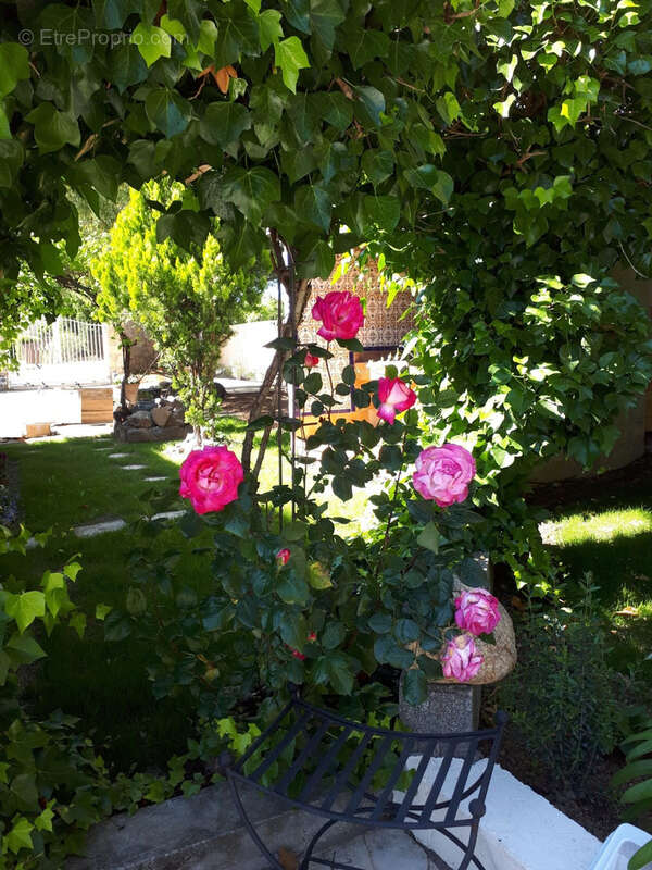 Maison à ESPONDEILHAN