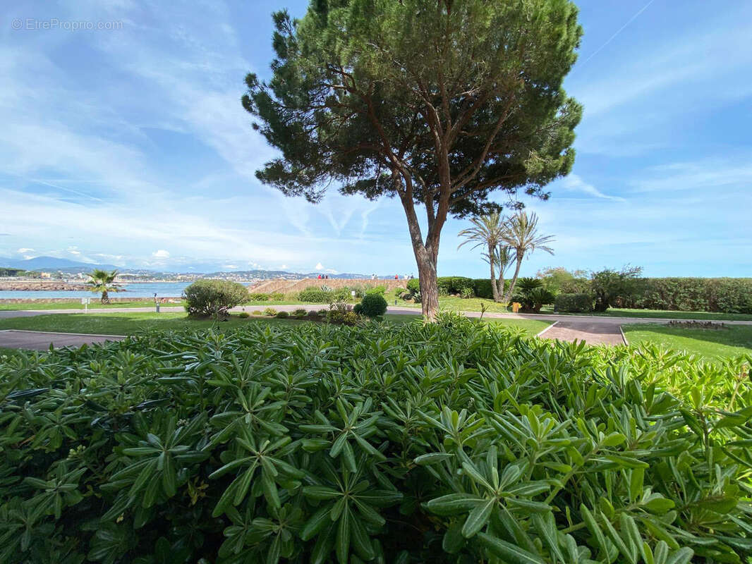 Appartement à MANDELIEU-LA-NAPOULE