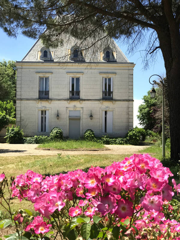 Exceptionnelle propriété viticole du XIX siècle, symbole du patrimoine languedocien - photo 16