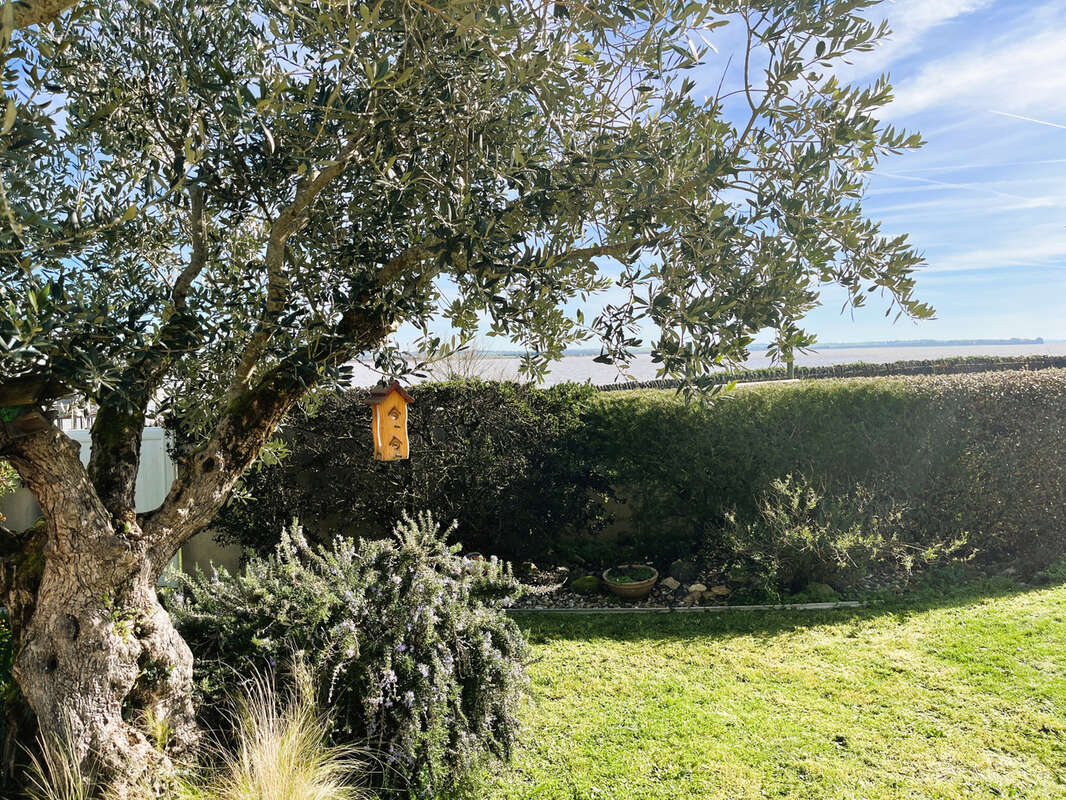 Maison à MESCHERS-SUR-GIRONDE