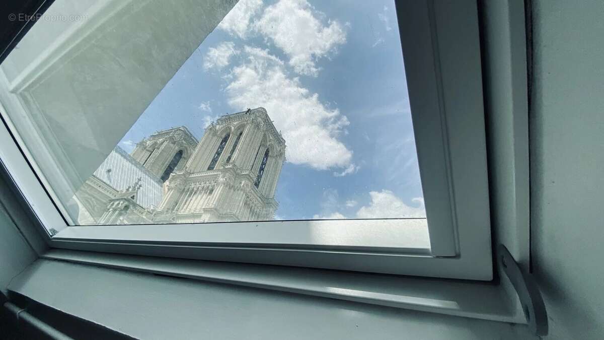 Un nid a notre dame - photo 10