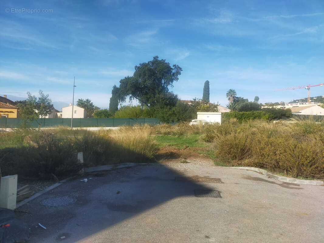 Terrain à BORMES-LES-MIMOSAS