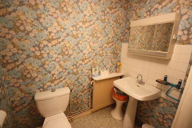 Maison à vendre 5 pièces de 148 m² à CHALEY (01) avec jardin de 436 m² en bordure de la rivière - photo 19