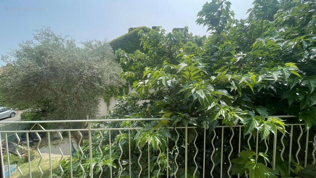 Photo 9 - Maison à AVIGNON