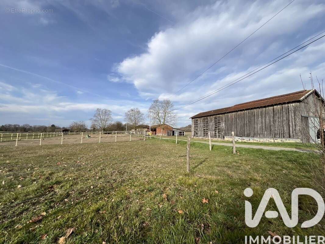 Photo 4 - Maison à LAMAGISTERE