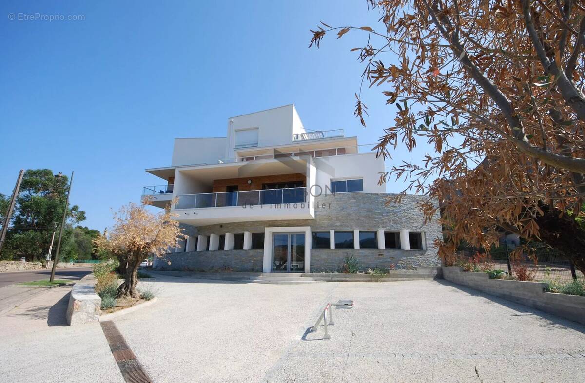 Appartement à ZONZA