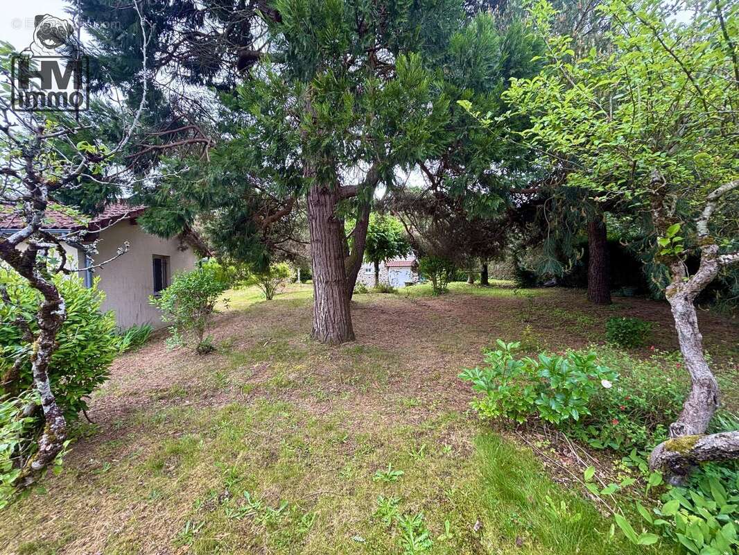 n°1 - Maison à COGNAC-LA-FORET