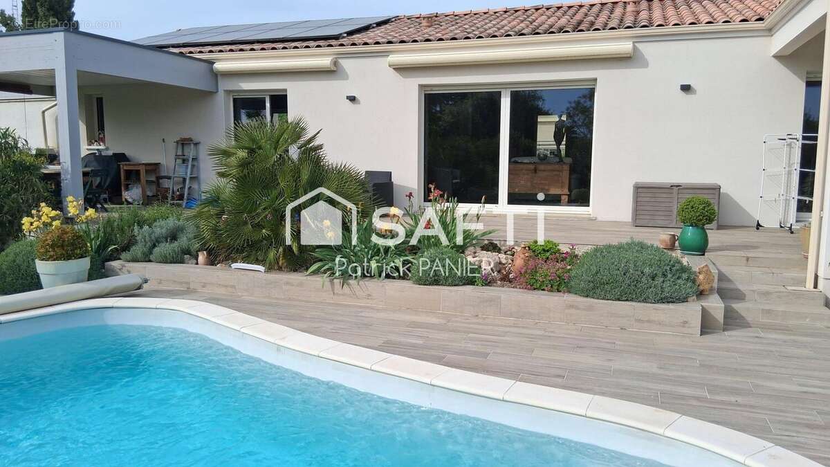 Photo 4