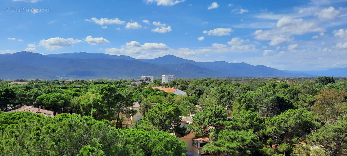 appartement bord de mer ARGELES - photo 10
