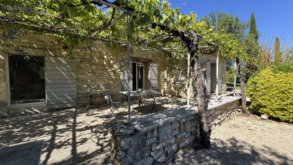 Treille pour un peu d'ombre  - Maison à GOULT