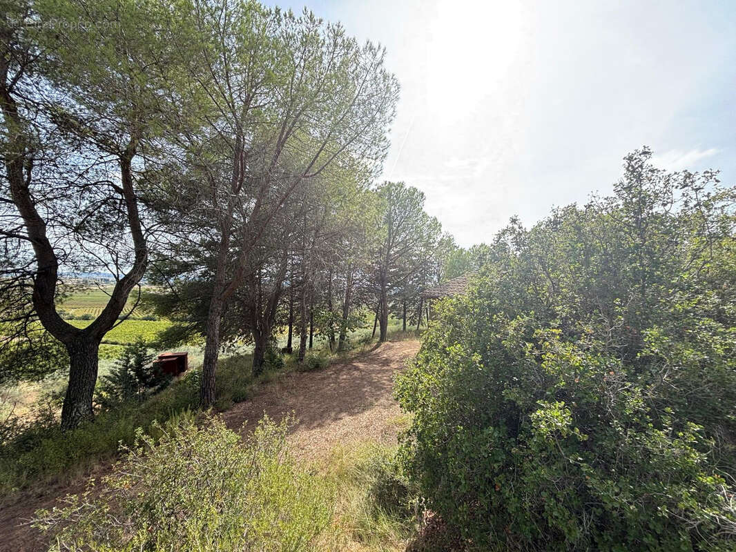 Terrain à PUISSERGUIER