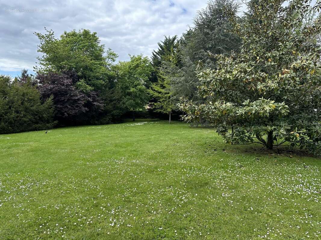 Autre à BRIIS-SOUS-FORGES