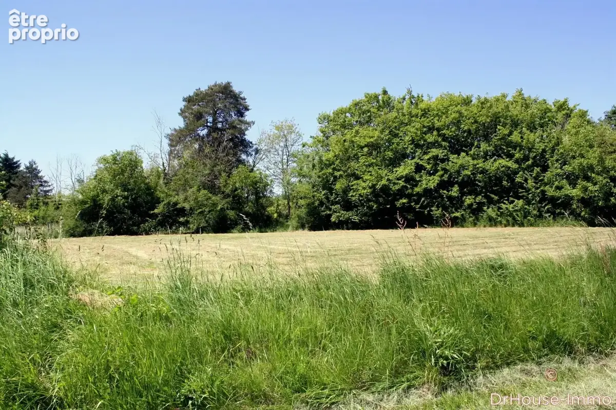 Terrain 1 970 m² à vendre à Archigny (86210) - photo 9