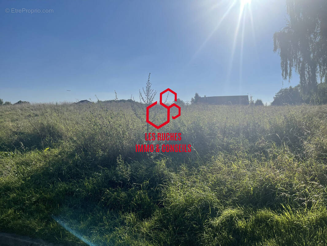 Terrain à DELINCOURT