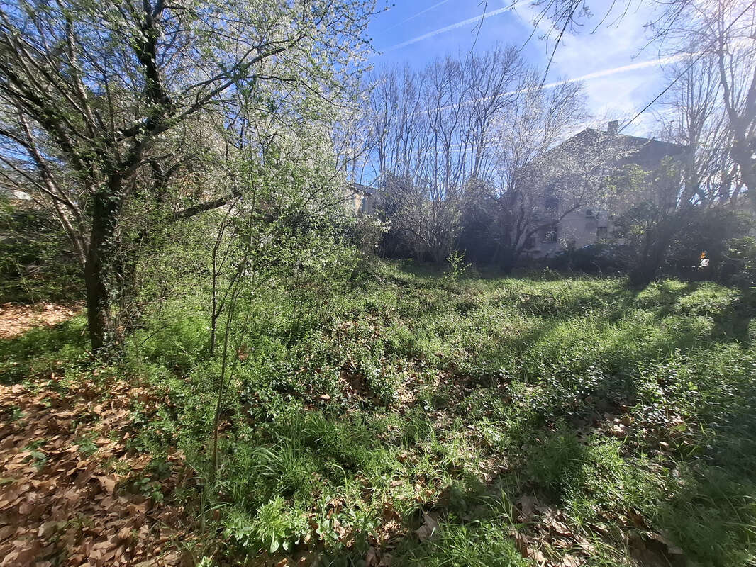 Terrain à SAINT-MARTIN-DE-CRAU