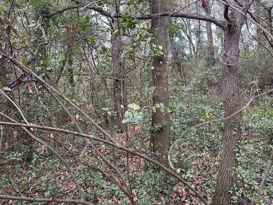 Terrain à VILLEMOUSTAUSSOU