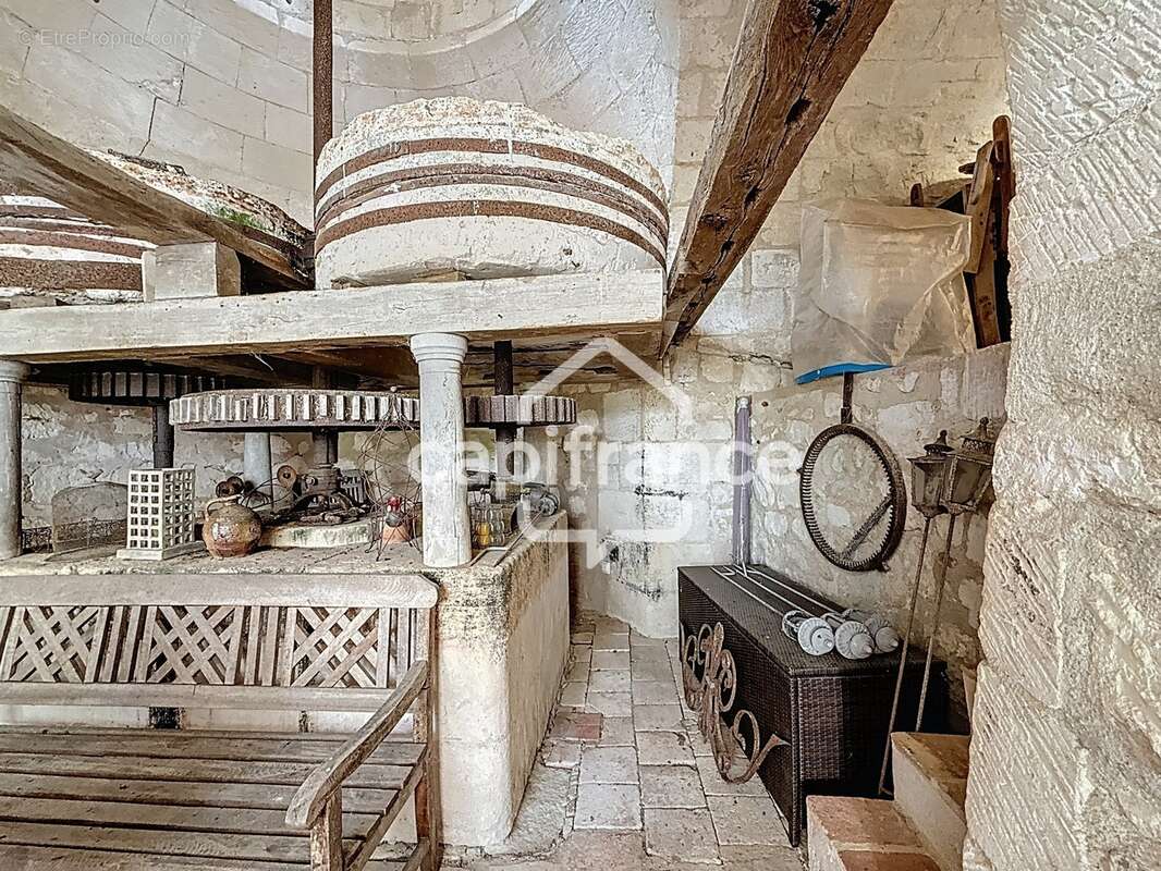Ensemble de deux maisons et d'un moulin cavier, Savigny en Véron - photo 14