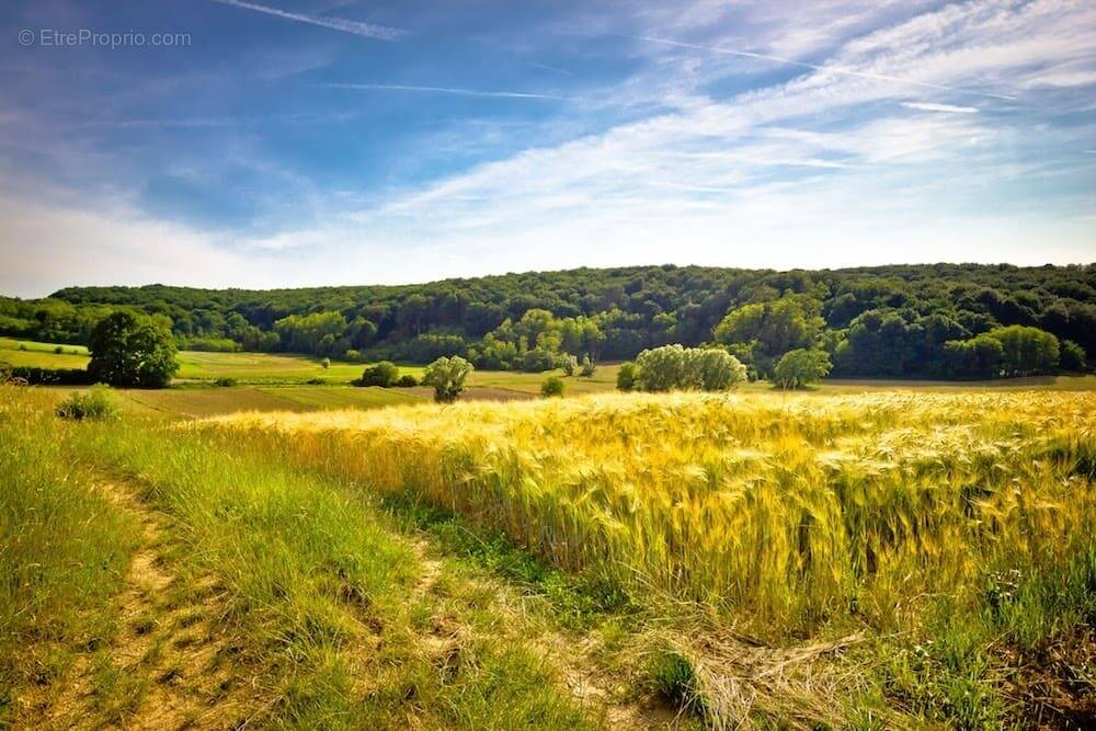Terrain à AVRILLE