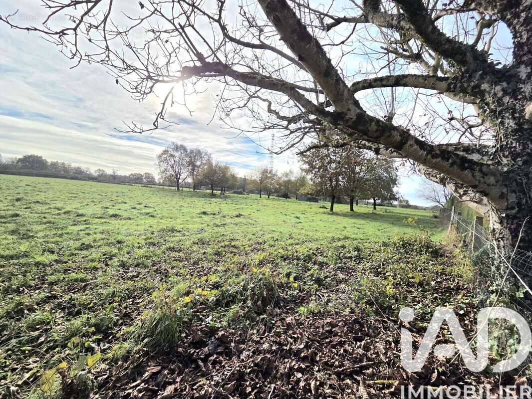 Photo 5 - Terrain à MONTMORILLON