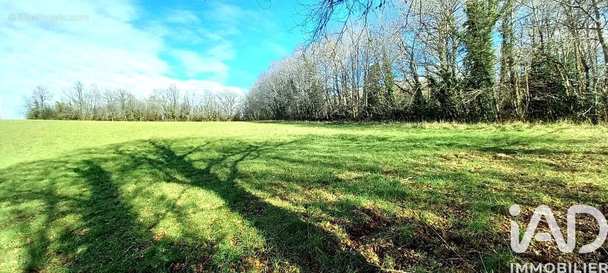 Photo 1 - Terrain à SAINT-YRIEIX-LA-PERCHE