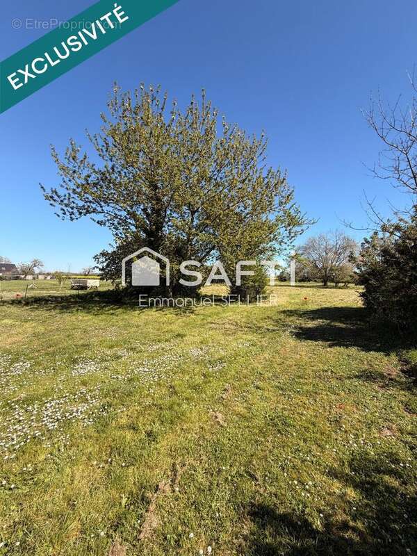 Photo 2 - Terrain à NEUVY-PAILLOUX