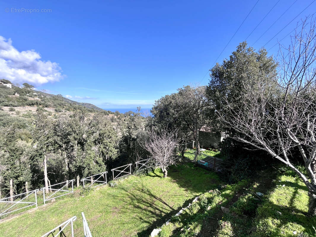 Maison à SAN-MARTINO-DI-LOTA