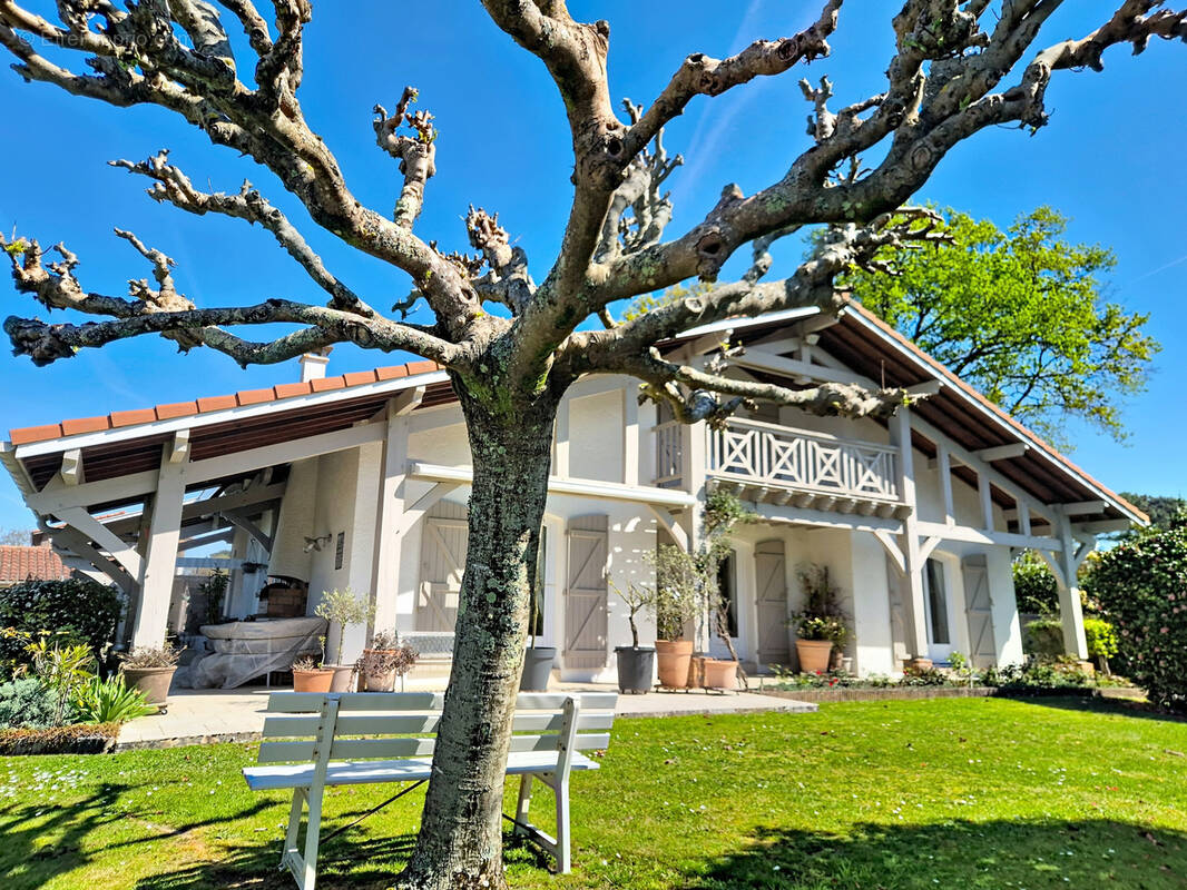 Maison à SEIGNOSSE