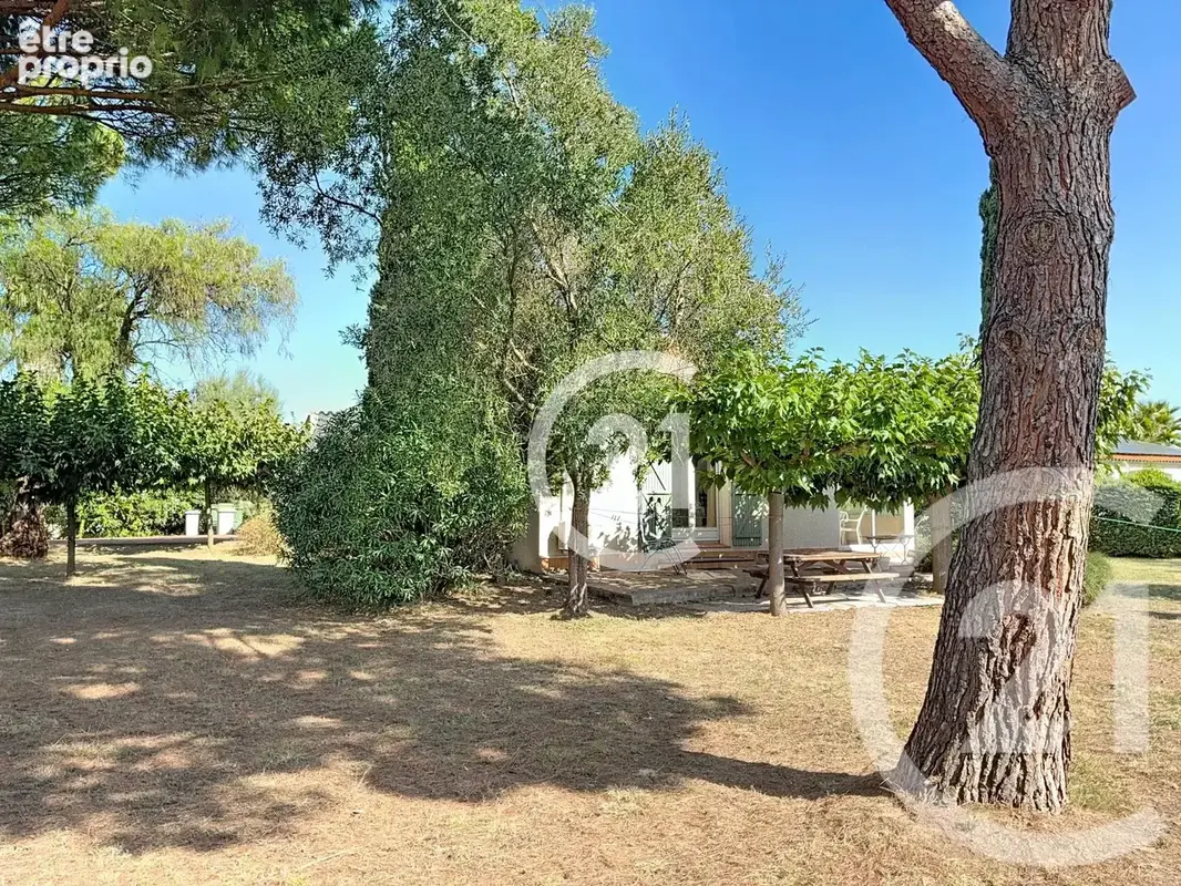 Maison 4 pièces 140 m² à vendre à Montescot (66200) - photo 6