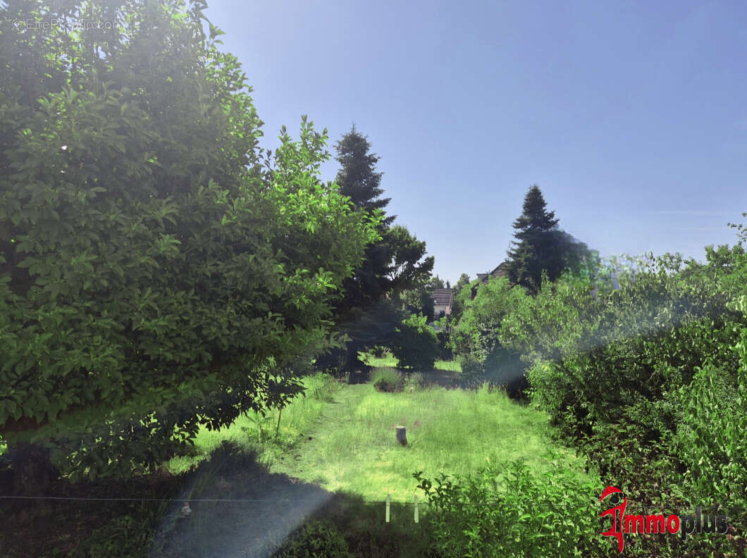 Demeure de caractère à  St-Louis, proche frontière suisse avec  jardin à l'arrière - photo 2