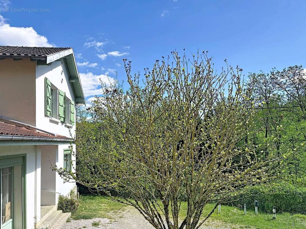 Maison à CASTANET-TOLOSAN