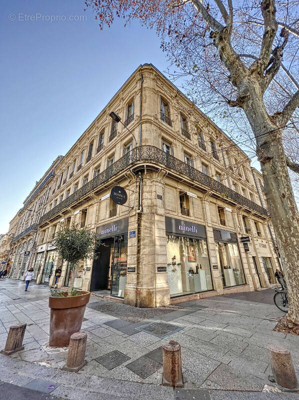 Commerce à AVIGNON