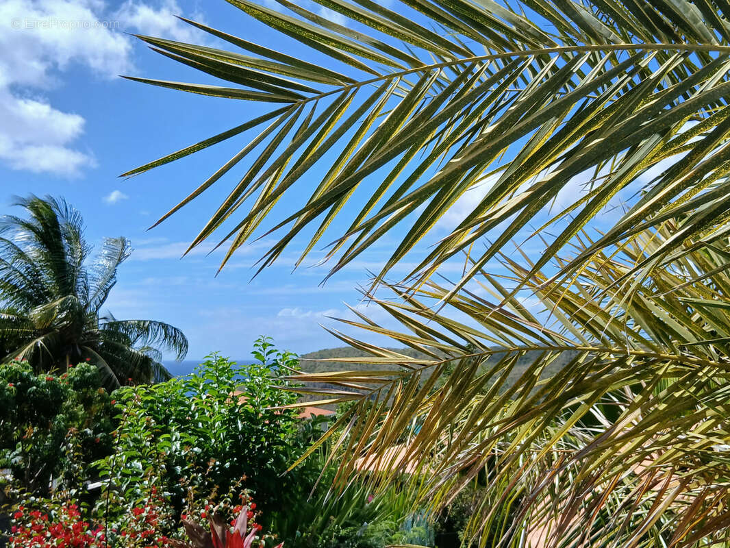 Maison à LES ANSES-D'ARLET