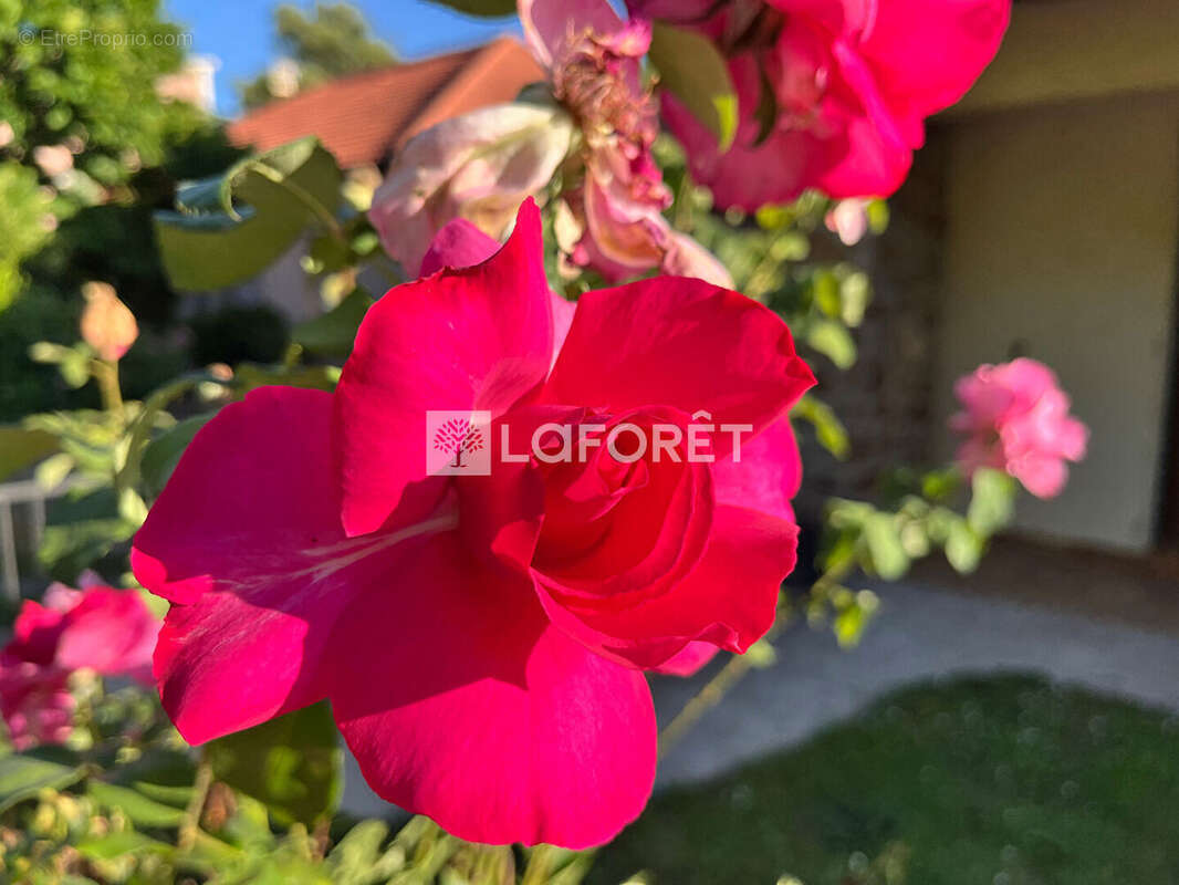 Firmi *maison 4 chambres* 145 m2 * 850 m2 jardin *pac neuve* - photo 9