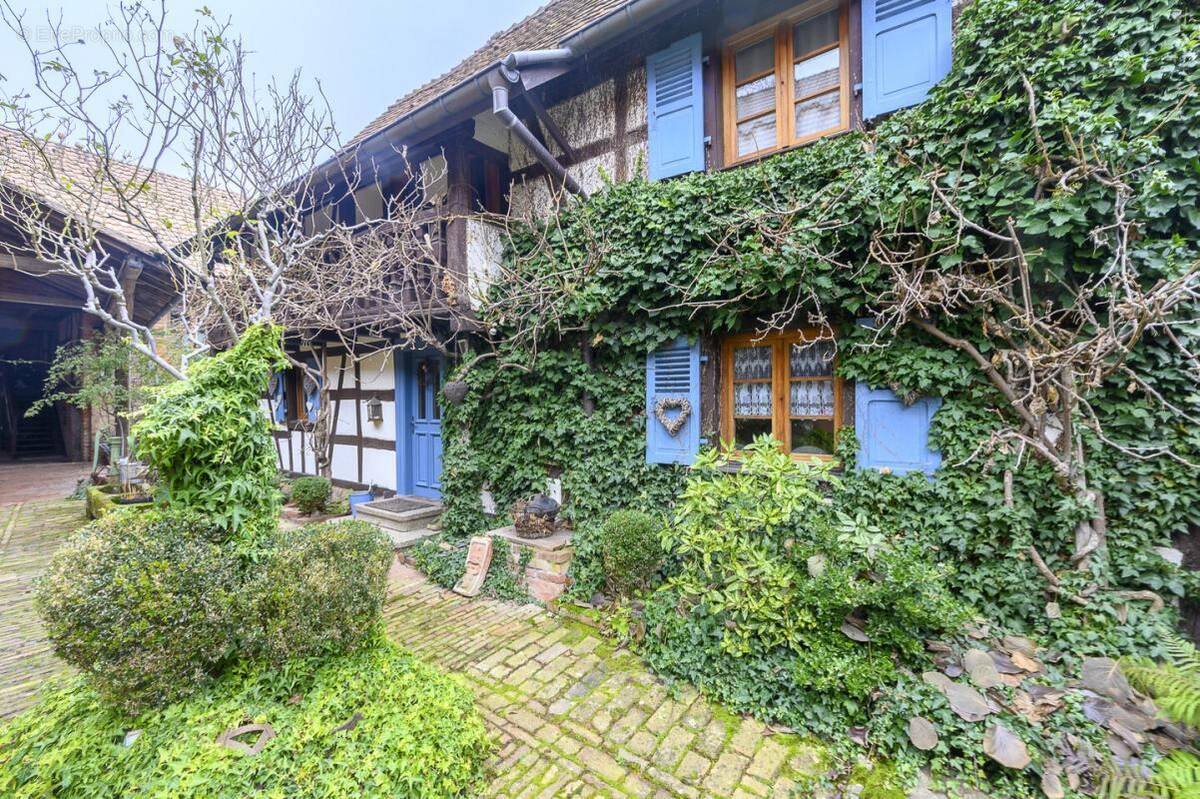 Maison à WINGERSHEIM