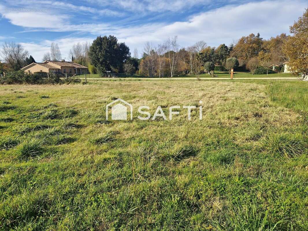 Photo 3 - Terrain à MURET