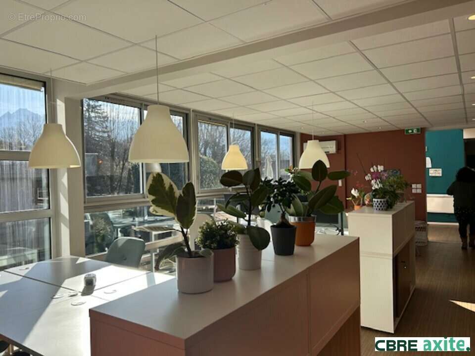Commerce 465 m² à Meylan  - photo 2