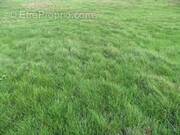 Terrain à DANNEMOIS