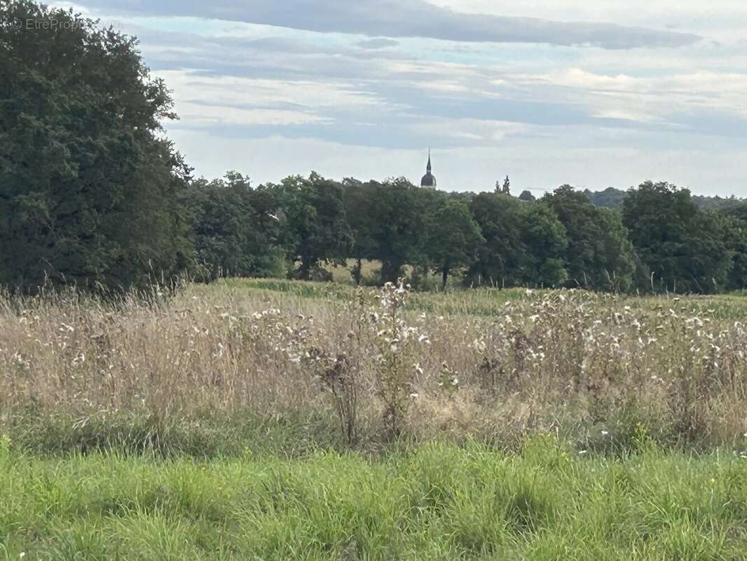 Maison à CONDEISSIAT