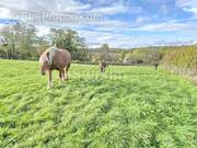 Terrain à MERCEY-LE-GRAND