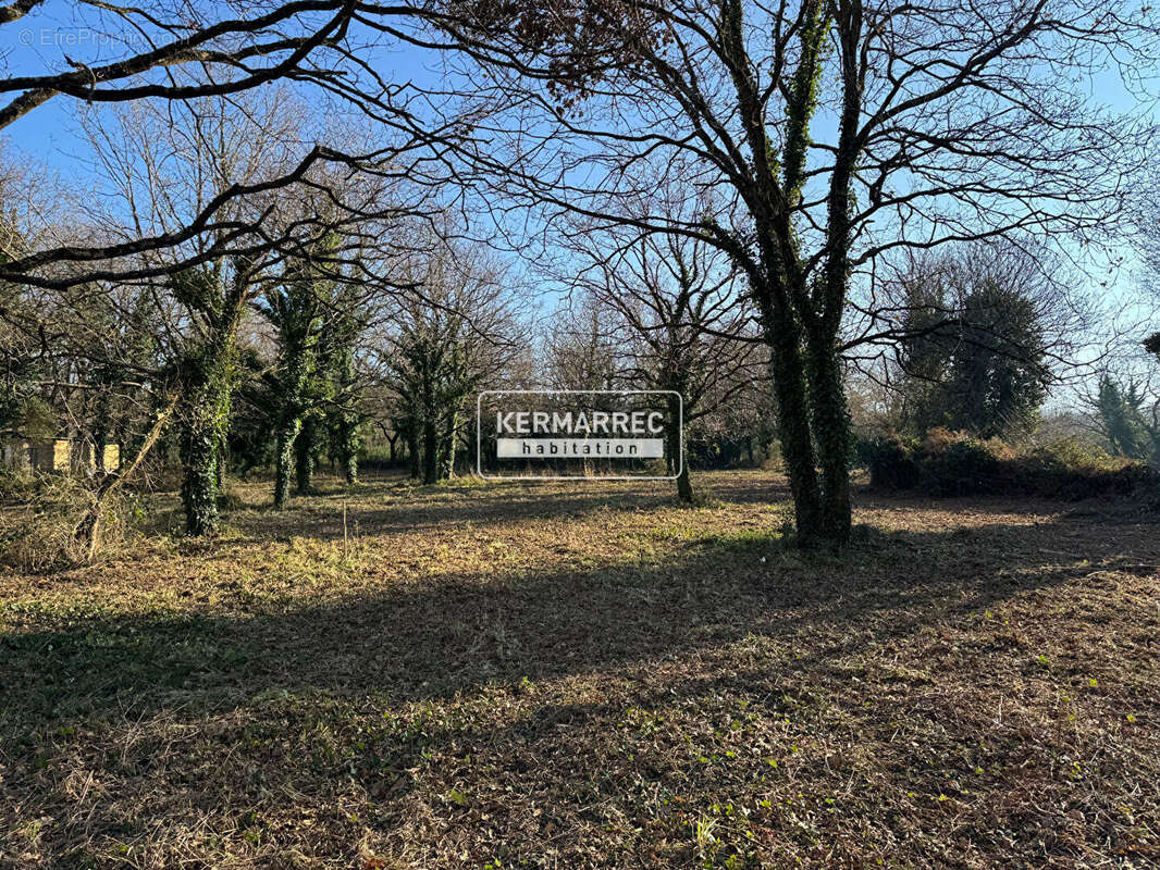 Terrain à LA TURBALLE