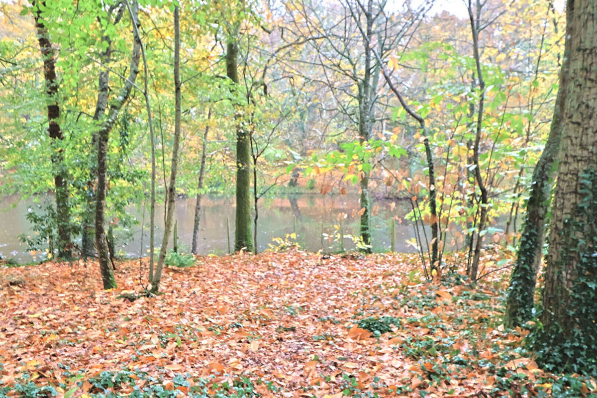 Maison à SAINT-SEBASTIEN-SUR-LOIRE