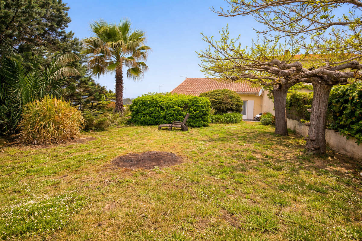 Appartement à OLMETO