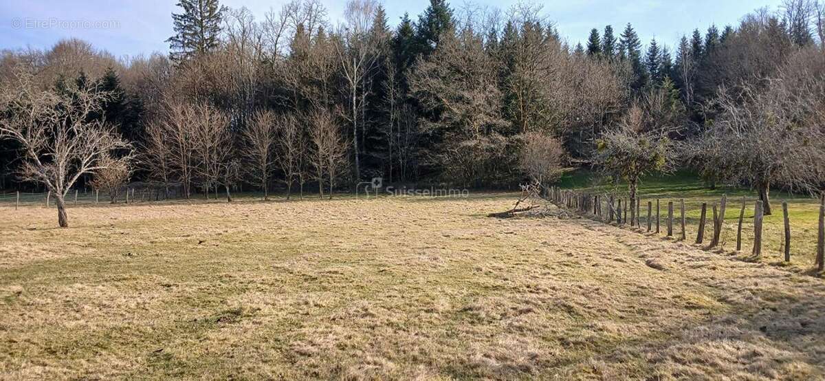 Maison à MONTESSAUX