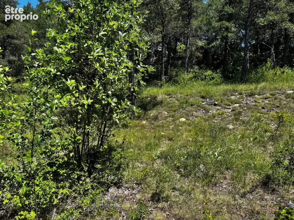 Terrain 2 310 m² à vendre à La Martre (83840) - photo 3