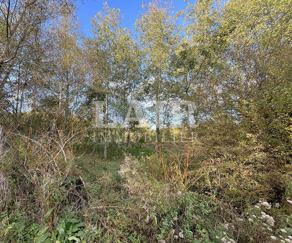 Terrain à SAINT-AQUILIN-DE-CORBION