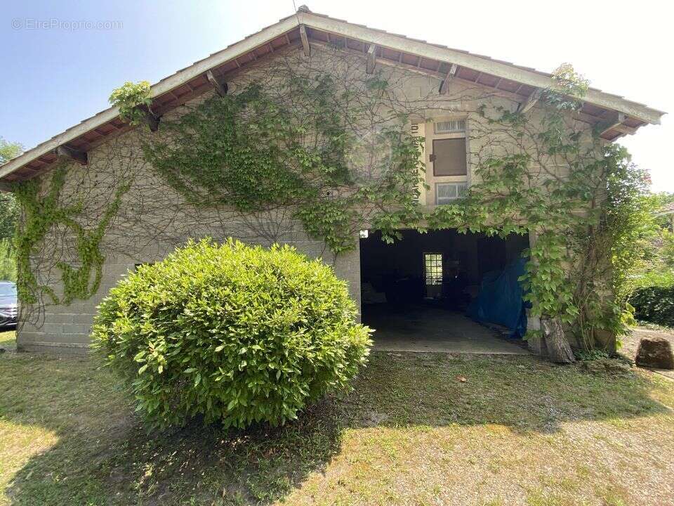 Maison de caractère en pierre 280 m² terrain de 4 hectares - photo 22