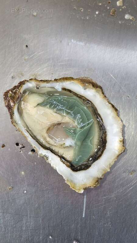 Commerce à DOLUS-D&#039;OLERON